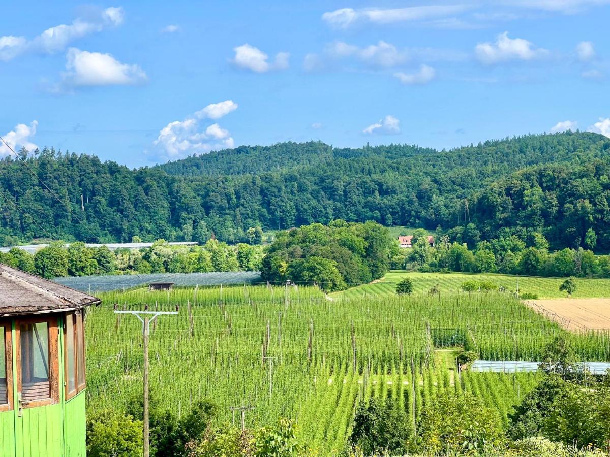 Einzigartiger Panoramablick, Bodensee Und Messe In Der Naehe เทตต์นัง ภายนอก รูปภาพ