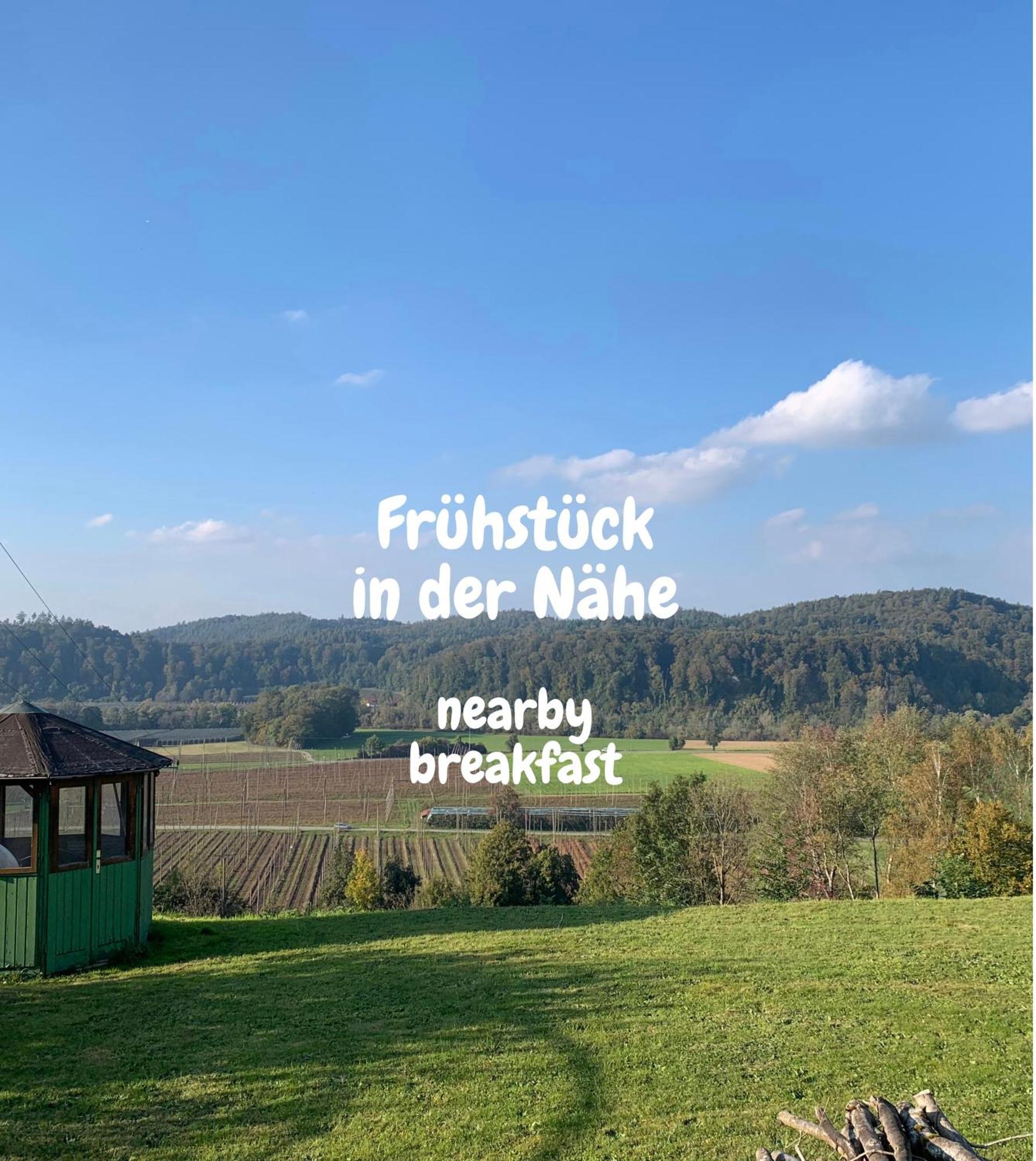 Einzigartiger Panoramablick, Bodensee Und Messe In Der Naehe เทตต์นัง ภายนอก รูปภาพ